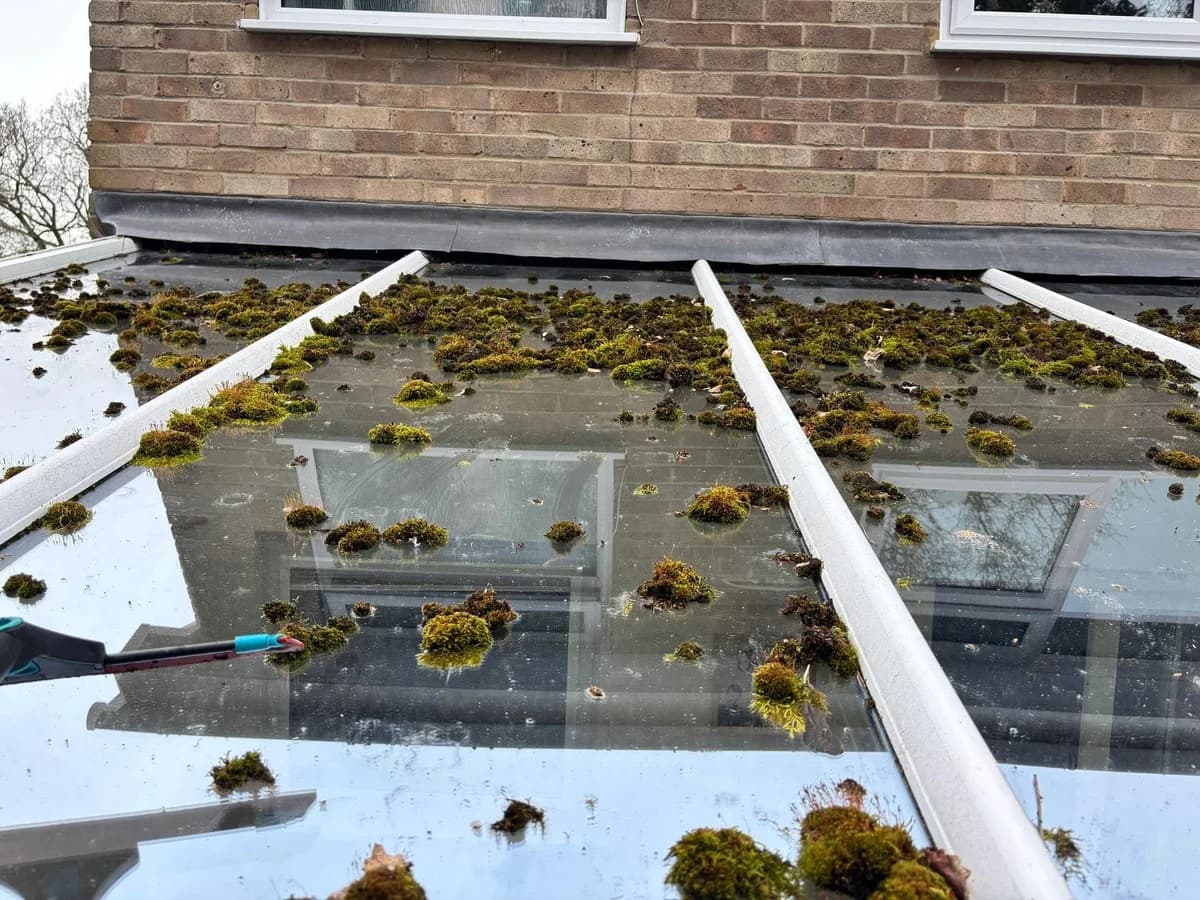 Conservatory glass roof covered with moss before cleaning
