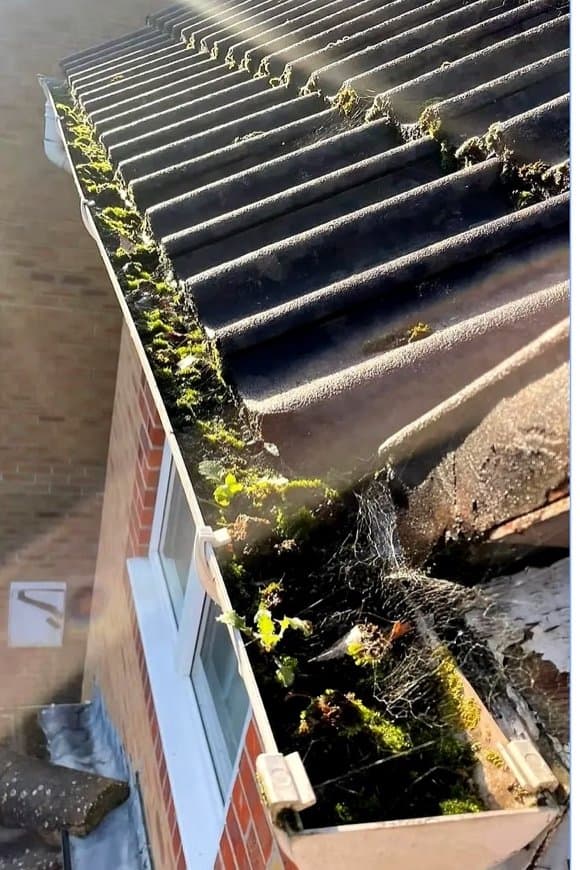 Gutter clearance before cleaning
