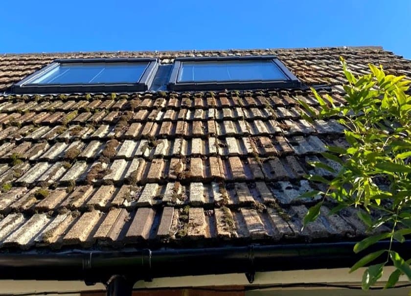Skylight cleaning after cleaning