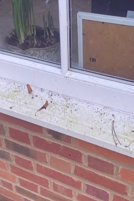Window frames & sills before cleaning